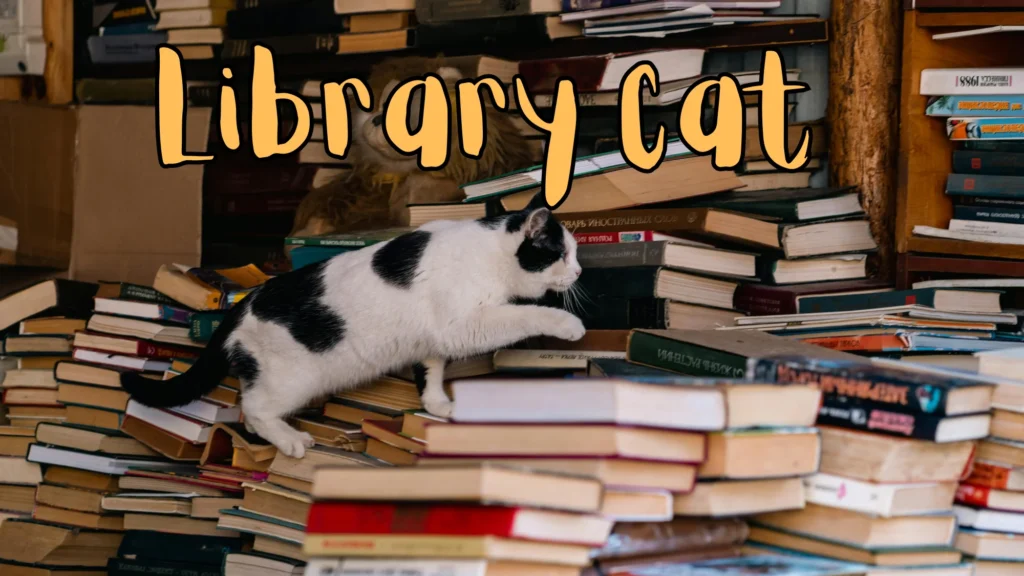 Life of a Library Cat