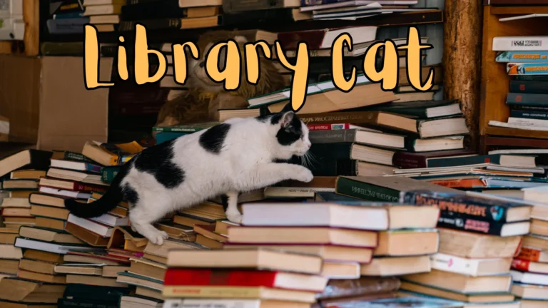 Life of a Library Cat