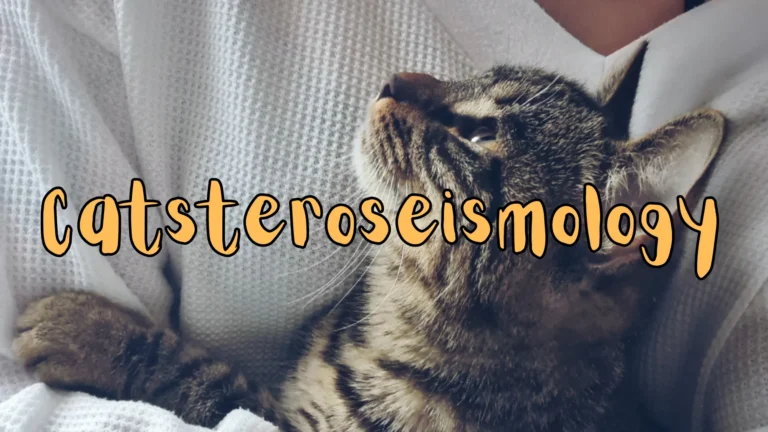 Catsteroseismology