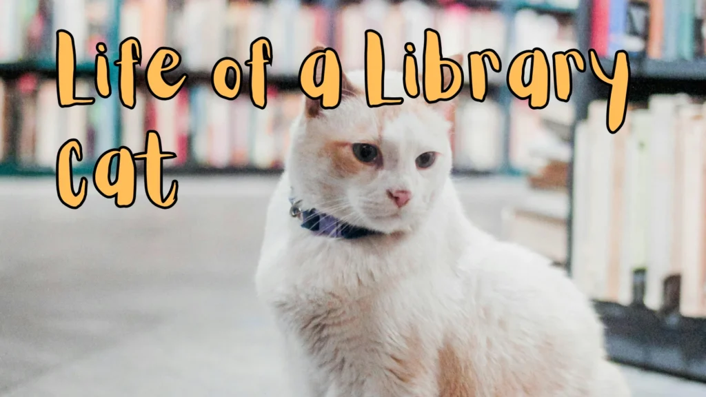 Life of a Library Cat
