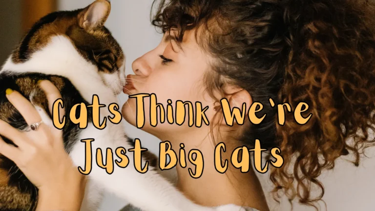 Cats Think We’re Just Big Cats