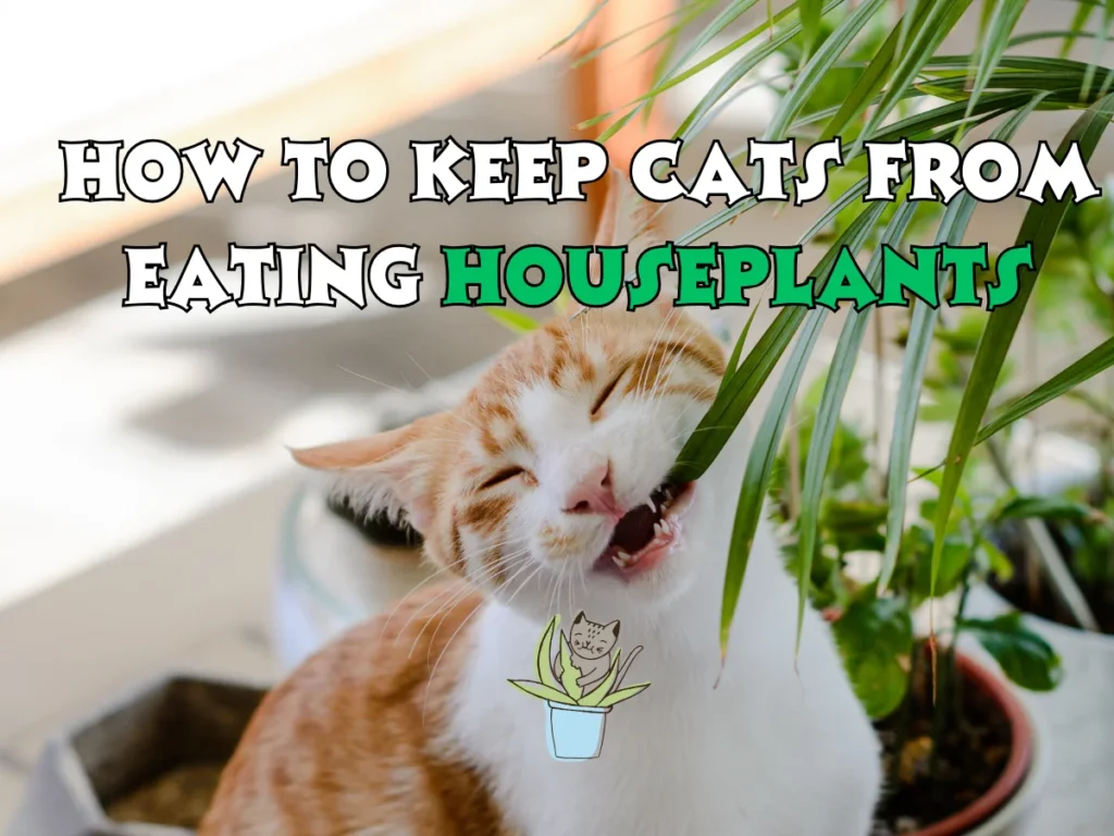 How to Keep Cats From Eating Houseplants